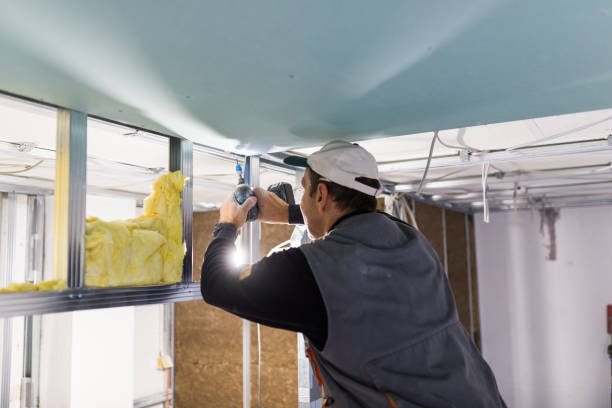 Best Crawl Space Insulation  in Johns Creek, GA